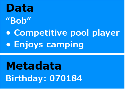 Data and metadata are contrasted. Data: "Bob", enjoys camping and playing pool. Metadata: birthday
