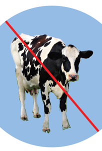 A cow with a diagonal red line drawn across the photo illustrates "dairy-free."