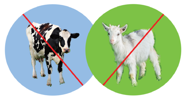 Red diagonal lines across an image of a cow and goat depict "dairy-free."